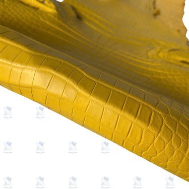 PREMIUM CROCODILE BELLY LEATHER – RADIANT MUSTARD YELLOW