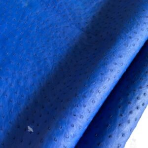 PREMIUM FULL-QUILL OSTRICH SKIN – STATEMENT COBALT BLUE