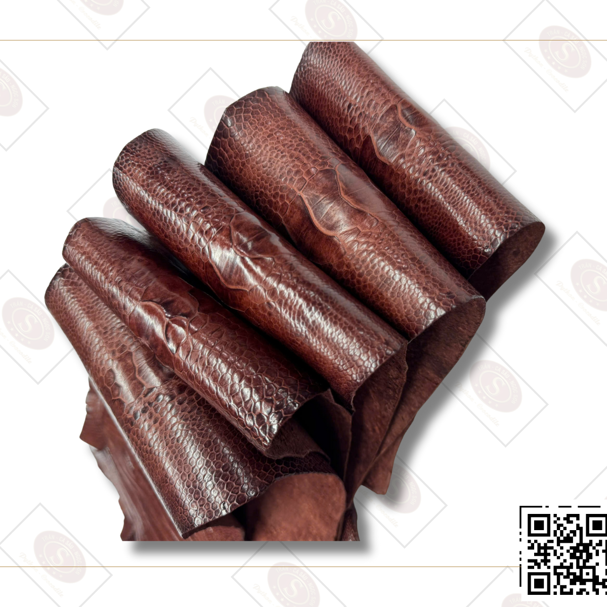 Bộ Sưu Tập Da Chân Đà Điểu - "The Dragon Scales" - Ảnh 4