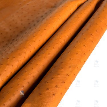PREMIUM FULL-QUILL OSTRICH SKIN – CLASSIC COGNAC BROWN