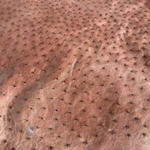 PREMIUM FULL-QUILL OSTRICH SKIN – POWERFUL DARK CHOCOLATE