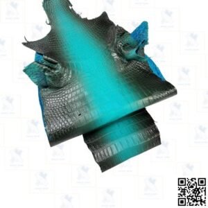 Glazed Siamensis Skin - Turquoise/Black Gradient