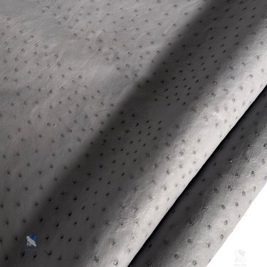PREMIUM FULL-QUILL OSTRICH SKIN – ELEGANT MINIMALIST SILVER GREY