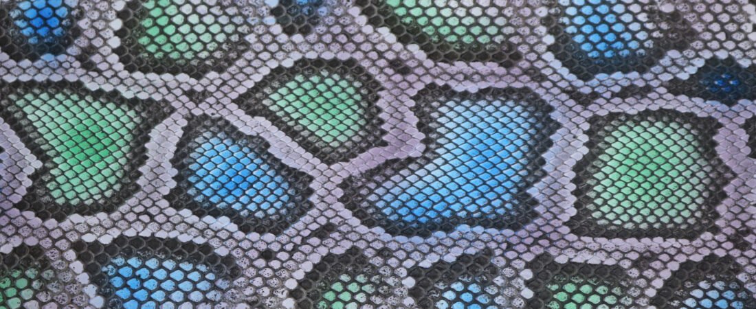 Sự Sang Trọng Huyền Bí Từ Da Trăn Tự Nhiên | Exotic Elegance of Python Leather | 蟒蛇皮的异域奢华