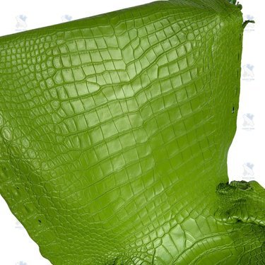Premium Full-Grain Genuine Crocodile Leather Hide – Exotic “Electric Lime” Edition