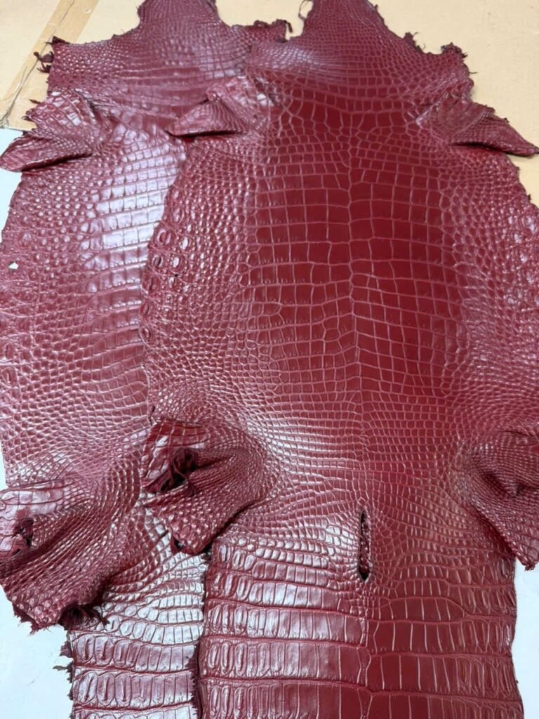 Premium Finished Crocodile Leather - Burgundy Red