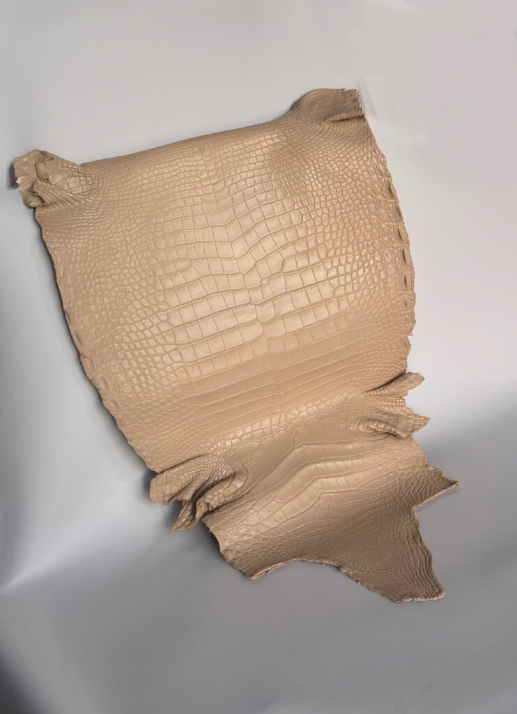 Whole-Skin Crocodile Belly & Hornback Leather - Collection 02.2026