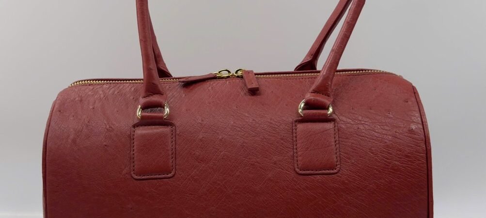 Cách chọn túi xách da đà điểu phù hợp với trang phục dạ tiệc | Mastering Ostrich Leather Artistry & Wardrobe Pairing (Cách chọn túi xách da đà điểu phù hợp vớ) | 天然全粒面鸵鸟皮具品鉴与商务穿搭美学 (Cách chọn túi xách da đà điểu phù h)
